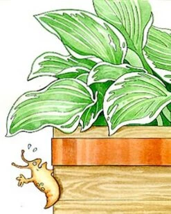 Copper Slug Tape -Garden Care Tools Sales 38 994 b