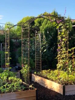 Deep Root Raised Beds, 14" Deep 4' Wide 10 Deep Root Raised Beds, 14" Deep 4' Wide -Garden Care Tools Sales 38690 02IN tif