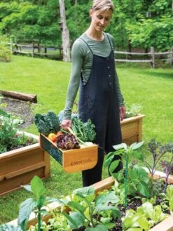 Garden Hods -Garden Care Tools Sales 39 761 0146 tif