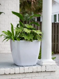 Viva Square Self-Watering Rolling Planter, 20" Diameter, Set Of 2 -Garden Care Tools Sales 3 4 crop 8612930 0033 tif