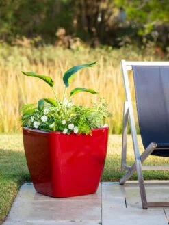 Viva Square Self-Watering Rolling Planter, 20" Diameter, Set Of 2 -Garden Care Tools Sales 3 4 crop 8612930 0035 tif