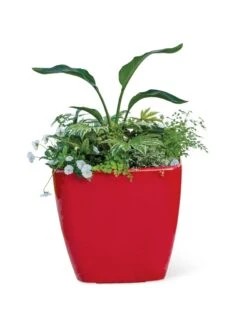Viva Square Self-Watering Rolling Planter, 20" Diameter, Set Of 2 -Garden Care Tools Sales 3 4 crop 8612930 0037 tif