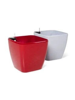 Viva Square Self-Watering Rolling Planter, 20" Diameter, Set Of 2 -Garden Care Tools Sales 3 4 crop 8612930 0104