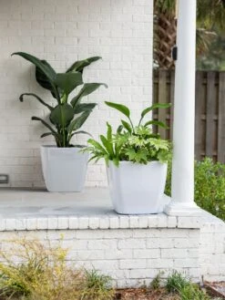 Viva Square Self-Watering Rolling Planter, 20" Diameter, Set Of 2 -Garden Care Tools Sales 3 4 crop 8612930 10031