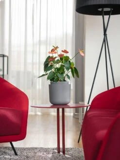 Tolita Recycled Self-Watering Flower Pot, 8" Diameter 7 Tolita Recycled Self-Watering Flower Pot, 8" Diameter -Garden Care Tools Sales 3 4 crop 8612965 04V tif