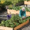 3' Raised Beds -Garden Care Tools Sales 8586762 3453 tif