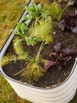 Birdies™ Modular Metal Raised Bed -Garden Care Tools Sales 8586930 6019 tif