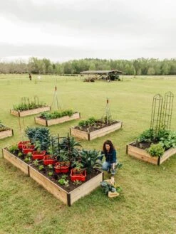 Deep Root Raised Beds, 14" Deep 4' Wide 12 Deep Root Raised Beds, 14" Deep 4' Wide -Garden Care Tools Sales 8587813 505 tif