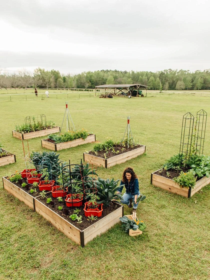 Deep Root Raised Beds, 14" Deep 4' Wide 6 Deep Root Raised Beds, 14" Deep 4' Wide - Image 4