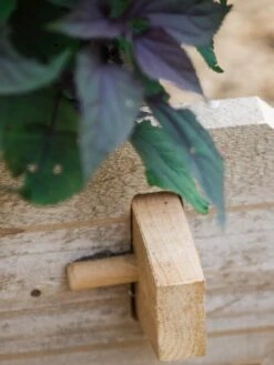 Farmstead Cedar Raised Garden Beds, 2' -Garden Care Tools Sales 8588144 12V tif