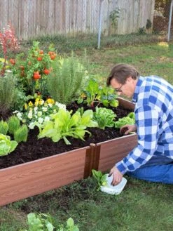 Composite Raised Bed With 1" Boards, 11" 19 Composite Raised Bed With 1" Boards, 11" -Garden Care Tools Sales 8588274 02V tif 1
