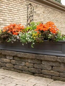Fairfield Self-Watering Window Box, 5’ 15 Fairfield Self-Watering Window Box, 5’ -Garden Care Tools Sales 8588938 105V tif