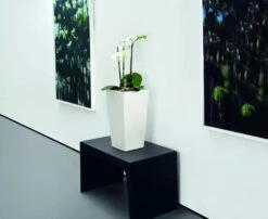 Lechuza® Cubico Color Tall Self-Watering Planters -Garden Care Tools Sales 8589485 03V tif