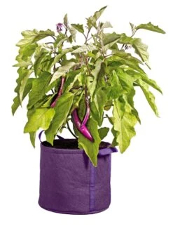Gardener's Best® Universal Grow Bag -Garden Care Tools Sales 8590024PR 214 tif