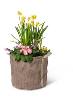 Gardener's Best® Universal Grow Bag -Garden Care Tools Sales 8590024 7307 tif