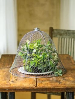 Chicken Wire Cloche -Garden Care Tools Sales 8590210 1 tif
