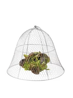 Chicken Wire Cloche -Garden Care Tools Sales 8590210 675 tif