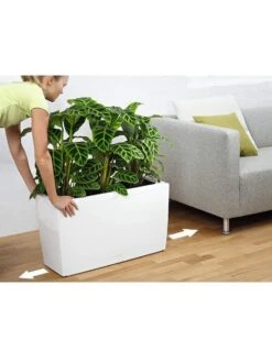Lechuza® Cararo Rectangular Indoor Planter With Casters -Garden Care Tools Sales 8590295 03v
