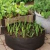 Garlic Grow Bag Kit -Garden Care Tools Sales 8590676 0072 growing garlic grow bag kit