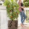Gardener's Revolution® Tomato Planter -Garden Care Tools Sales 8592159 406 001E tif
