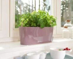 Lechuza® Delta Self-Watering Windowsill Planters -Garden Care Tools Sales 8592361 01V tif