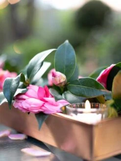 Rectangular Copper Plant Tray, 18"x4" -Garden Care Tools Sales 8593532 02IN tif