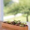 Rectangular Copper Plant Tray, 18"x4" 1 Rectangular Copper Plant Tray, 18"x4" -Garden Care Tools Sales 8593532 4632 tif