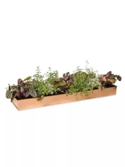 Rectangular Copper Plant Tray, 24" X 5" -Garden Care Tools Sales 8593533 2878 tif