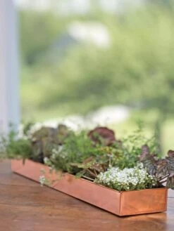 Rectangular Copper Plant Tray, 24" X 5" -Garden Care Tools Sales 8593533 4626 tif