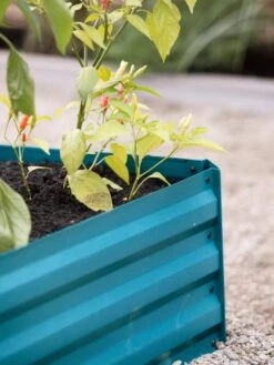 Demeter Corrugated Metal Raised Bed, 34" X 68" -Garden Care Tools Sales 8594183 470 tif 1