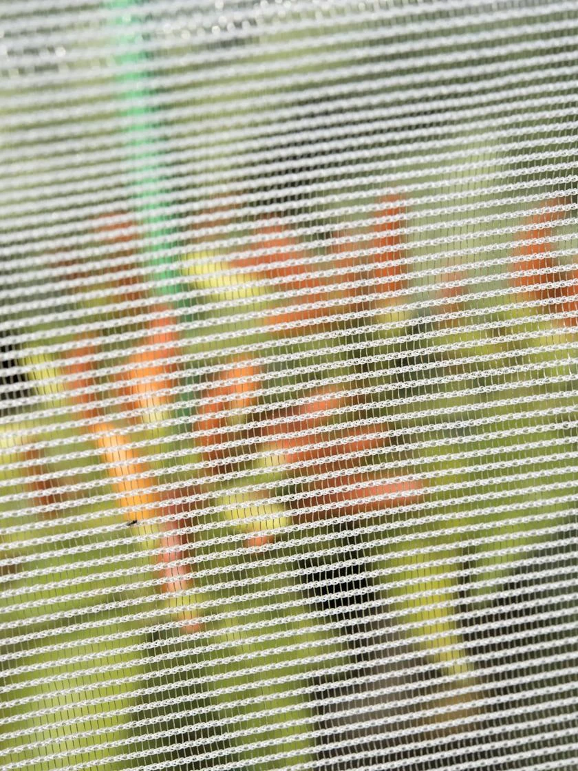 Bug Out Garden Insect Screen, 6-1/2' X 20' 4 Bug Out Garden Insect Screen, 6-1/2' X 20' - Image 2