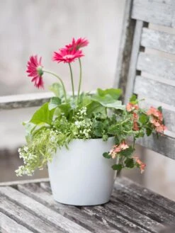 Viva Round Self-Watering Planter, 7" Diameter -Garden Care Tools Sales 8595222 1139 tif