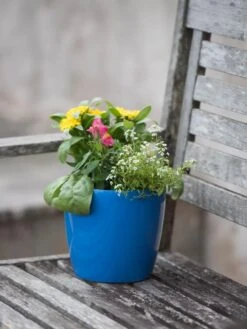 Viva Round Self-Watering Planter, 7" Diameter -Garden Care Tools Sales 8595222 1143 tif