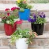 Viva Round Self-Watering Planter, 7" Diameter -Garden Care Tools Sales 8595222 5302 tif