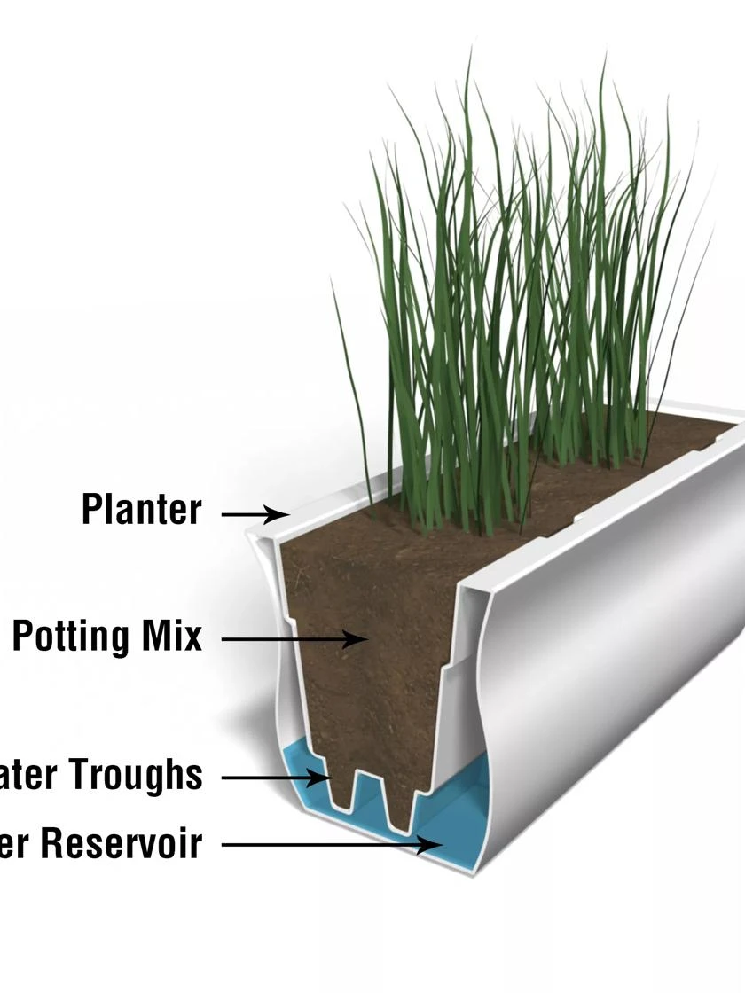 Valencia Window Box, 4' 9 Valencia Window Box, 4' - Image 7