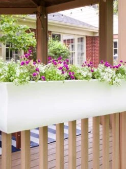 Valencia Window Box, 4' 11 Valencia Window Box, 4' -Garden Care Tools Sales 8596437 006V tif