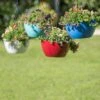 Viva Self-Watering Hanging Basket, 14" Diameter -Garden Care Tools Sales 8596442 0851 tif