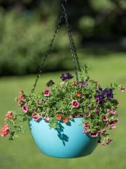 Viva Self-Watering Hanging Basket, 14" Diameter -Garden Care Tools Sales 8596442 0859 tif