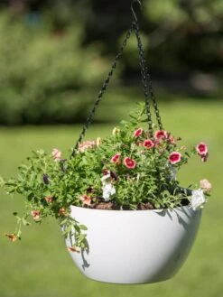 Viva Self-Watering Hanging Basket, 14" Diameter -Garden Care Tools Sales 8596442 0864 tif
