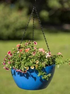 Viva Self-Watering Hanging Basket, 14" Diameter -Garden Care Tools Sales 8596442 0876 tif