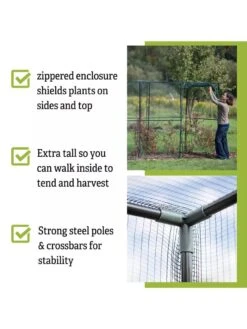 Crop Cage, 4' X 12' -Garden Care Tools Sales 8596540 4