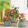 Galvanized Ribbed Planters 2 Galvanized Ribbed Planters -Garden Care Tools Sales 8597436 1680 tif