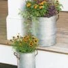 Galvanized Rim Planters -Garden Care Tools Sales 8597442 1700 tif