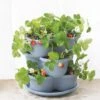 Stacking Strawberry Pot -Garden Care Tools Sales 8597996 9004 tif
