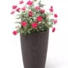 Weave Self-Watering Round Tall Planter, 12-1/2" -Garden Care Tools Sales 8598371 3000 tif