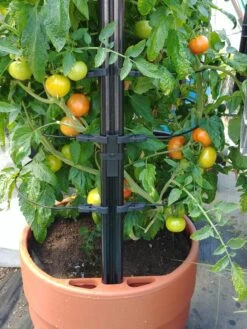 Gardener’s Victory Self-Watering Planter With Support System -Garden Care Tools Sales 8598384 01EMP tif