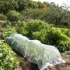 Insect Protection Tunnel -Garden Care Tools Sales 8598536 8225 tif