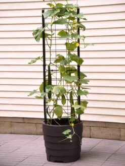 Gardener’s Victory Self-Watering Planter Garden With Vine Trellis -Garden Care Tools Sales 8600177 9876 tif 1
