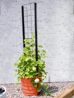 Gardener’s Victory Self-Watering Planter Garden With Vine Trellis -Garden Care Tools Sales 8600178 05487 tif