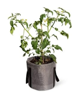 Reinforced Colorful Grow Bags 13 Reinforced Colorful Grow Bags -Garden Care Tools Sales 8600229 0944 tif